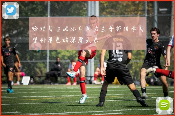 哈珀与吉诺比利同为左手将传承与替补角色的深厚关系